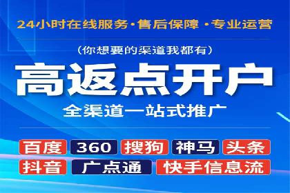 竞价广告在XX行业的成功应用案例